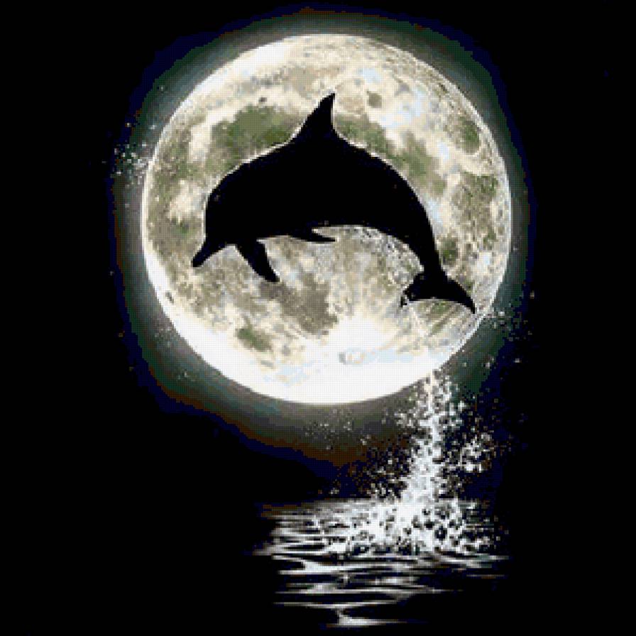Дельфин и луна - море, ночь, луна, картина, дельфин - предпросмотр