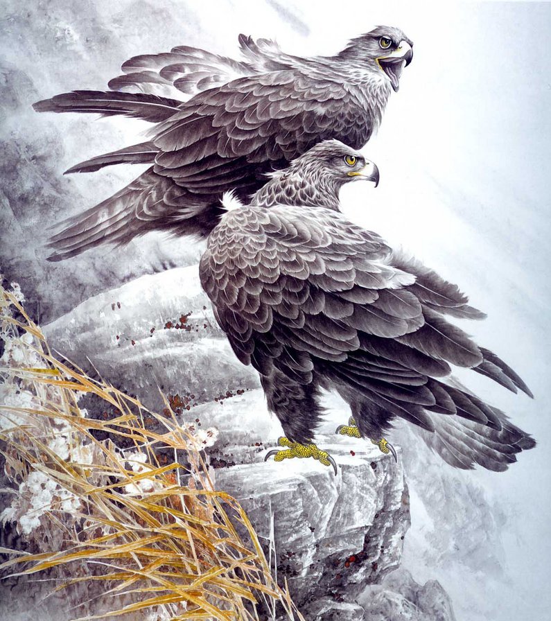 орлы - орлица, полет, пара, горы, орел, хищные, большие птицы, семья - оригинал