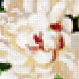 Предпросмотр схемы вышивки «№192111»
