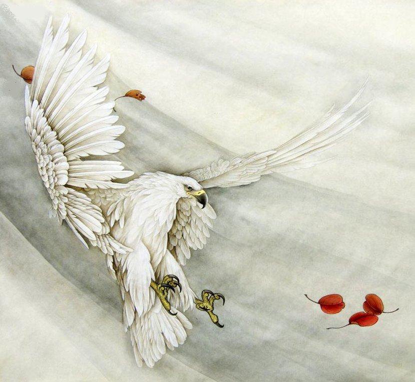 белый орел - орлы, полет, хищные, большие птицы, орлица - оригинал