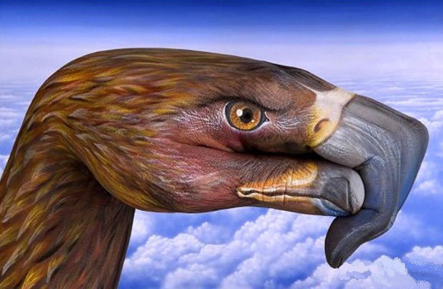 серия "стиль-Орел" - хищные, облака, полет, руки, большие птицы, орлы - оригинал