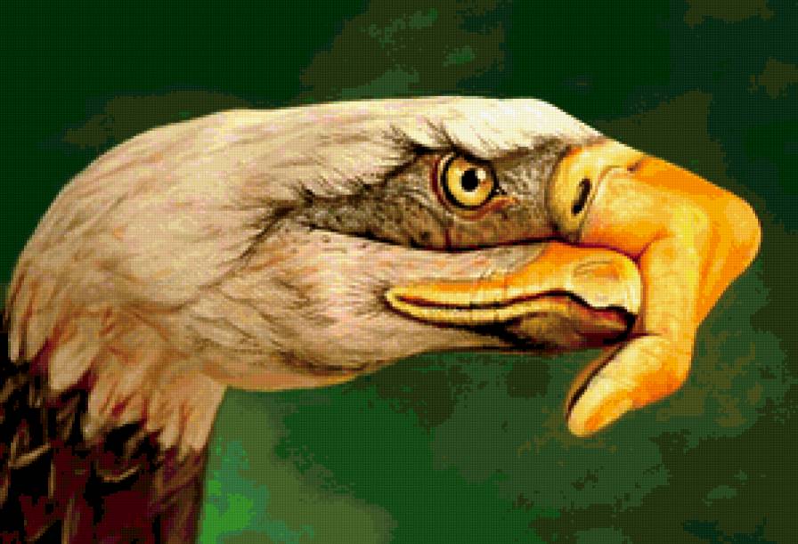 серия "стиль-орел" - большие птицы, орлы, хищные, руки - предпросмотр