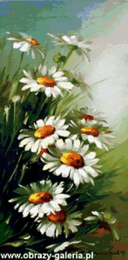 №192228 - предпросмотр