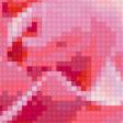 Предпросмотр схемы вышивки «Роза» (№192246)