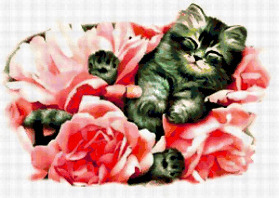 Кошки в цветах - мак, кошки, цветы, кошки в цветах, животные, кошка, маки - предпросмотр