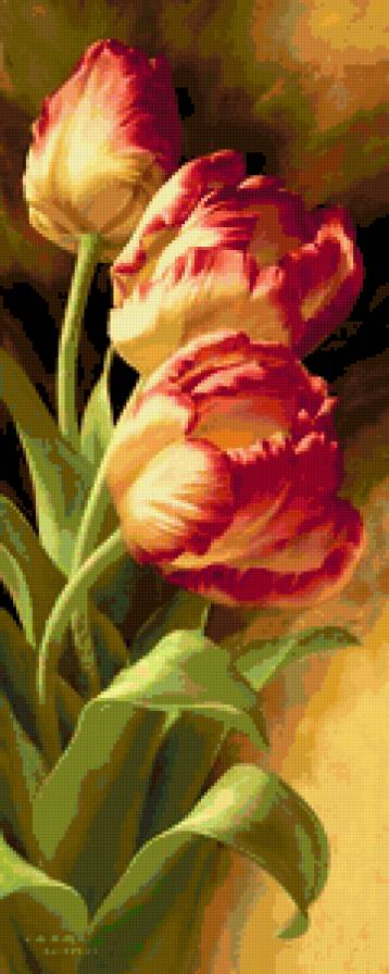 Тюльпаны - букет, цветы, тюльпаны - предпросмотр