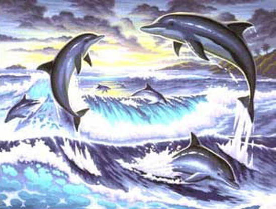 дельфины - оригинал