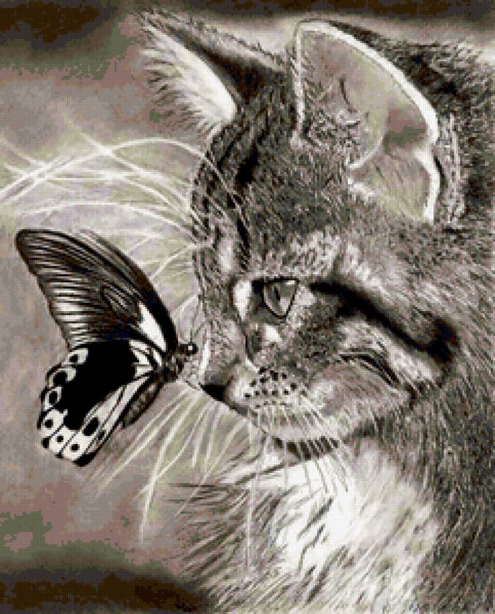 Котик с бабочкой - животные, котята, кошки - предпросмотр