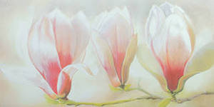 три цветка - розовые бутоны - оригинал