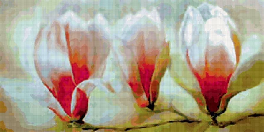 три цветка - розовые бутоны - предпросмотр