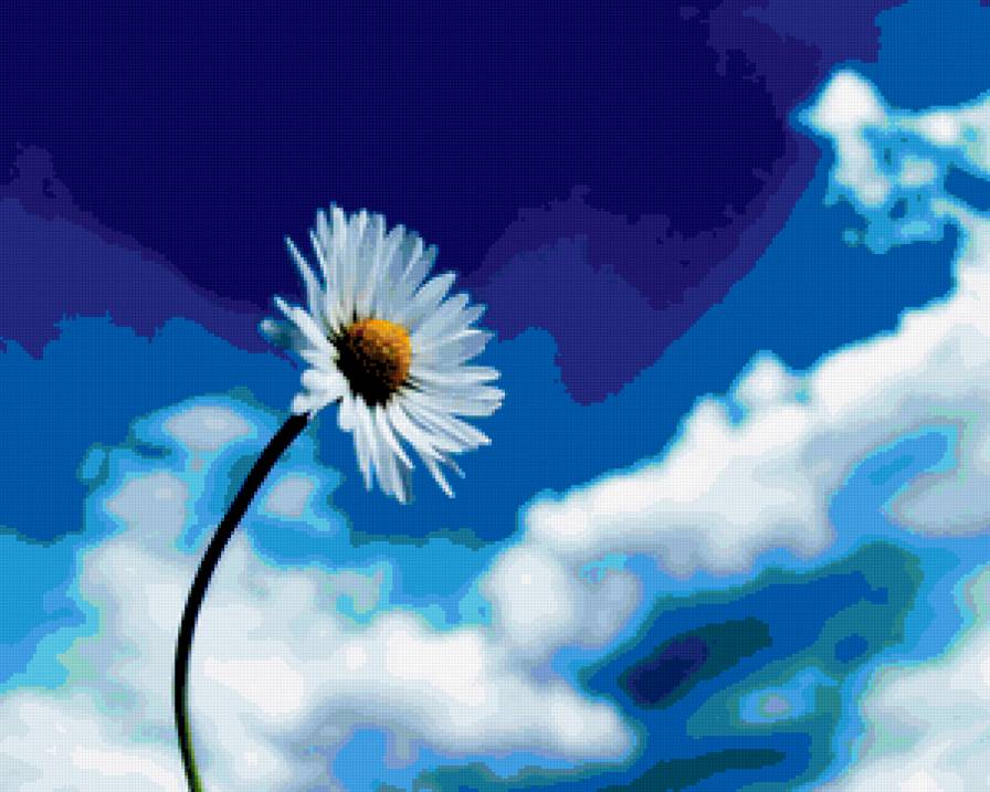 ромашка - облака, ромашка, небо - предпросмотр