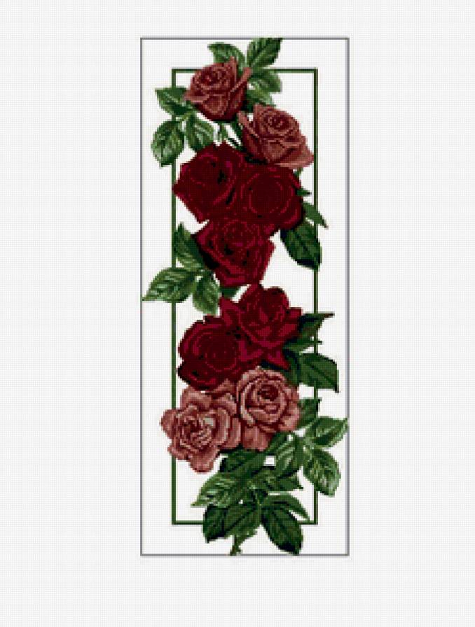 №192878 - розы, пано, цветы - предпросмотр