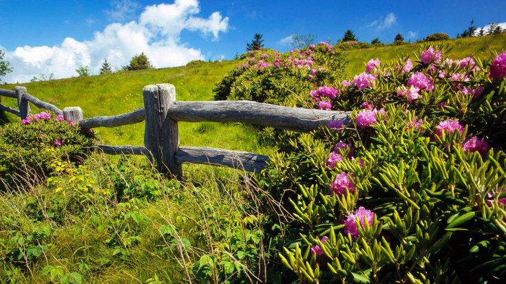 56986 - оригинал