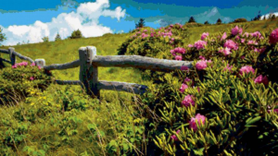 56986 - предпросмотр