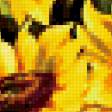 Предпросмотр схемы вышивки «подсолнухи» (№192919)