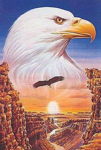 стервятник - природа, скалы, птица - оригинал