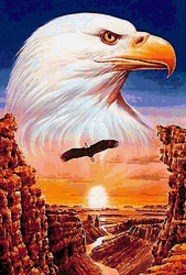 стервятник - природа, скалы, птица - предпросмотр