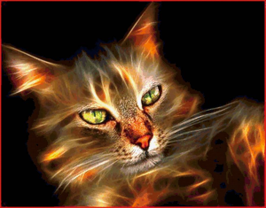 огненный кот - огненный кот - предпросмотр
