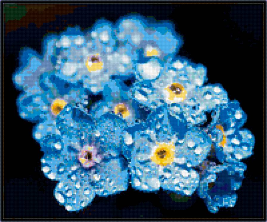 цветы - предпросмотр