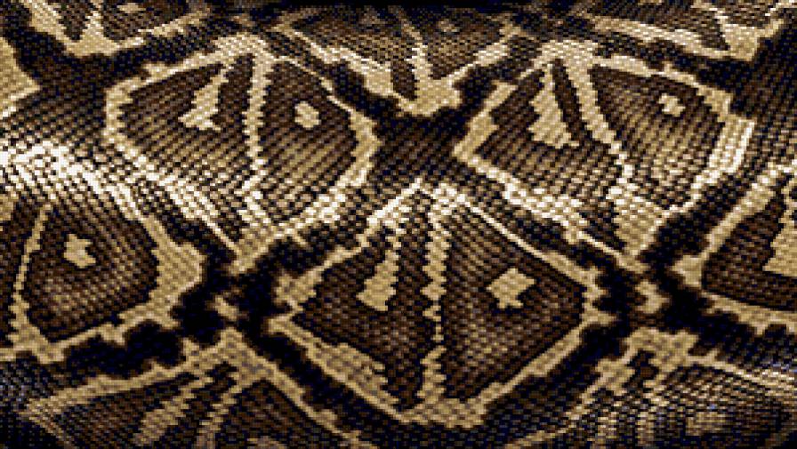 Змеиная шкурка - предпросмотр