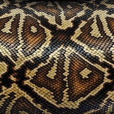 Схема вышивки «Змеиная шкурка»