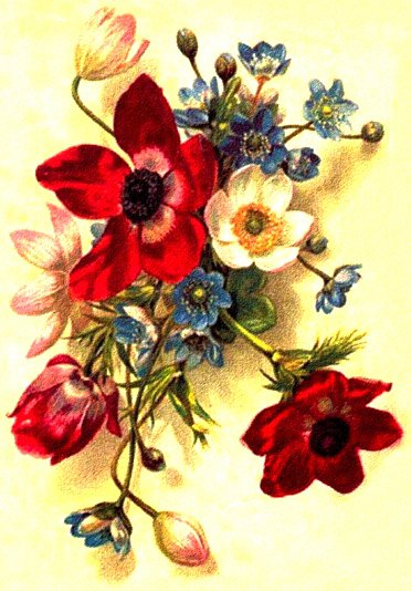 Цветы - незабудки, букетик, ретро, анемоны, панно, винтаж, цветы - оригинал