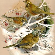 Оригинал схемы вышивки «№193373»