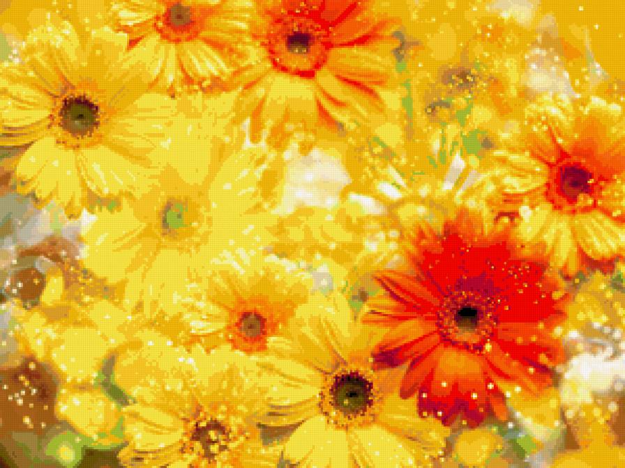 Солнечные герберы. - герберы, цветы - предпросмотр