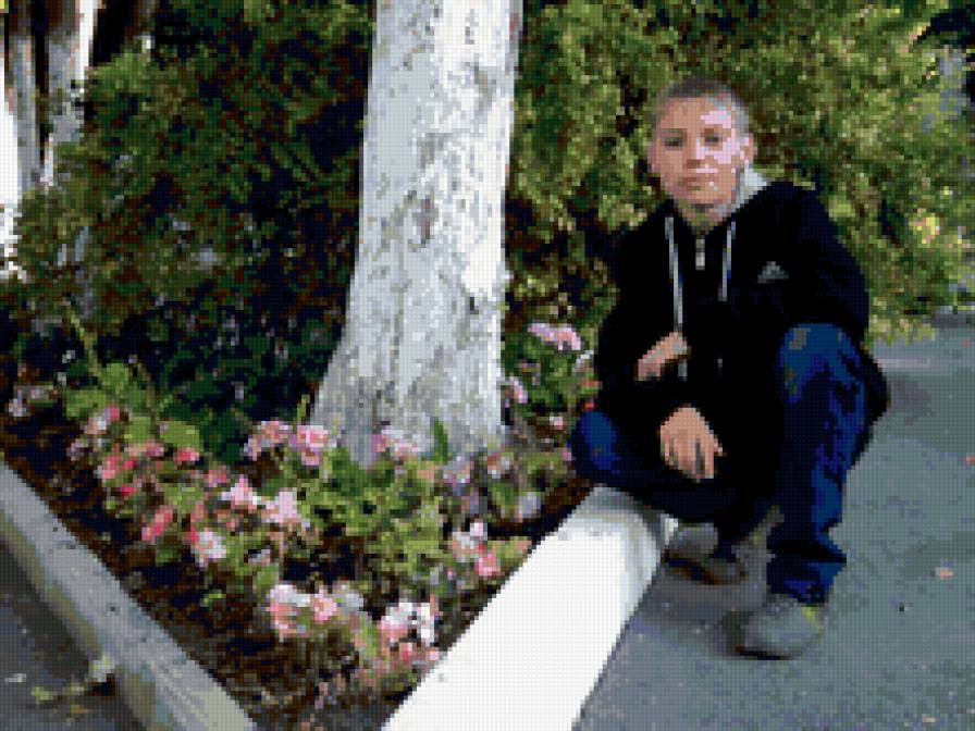 Максим - предпросмотр