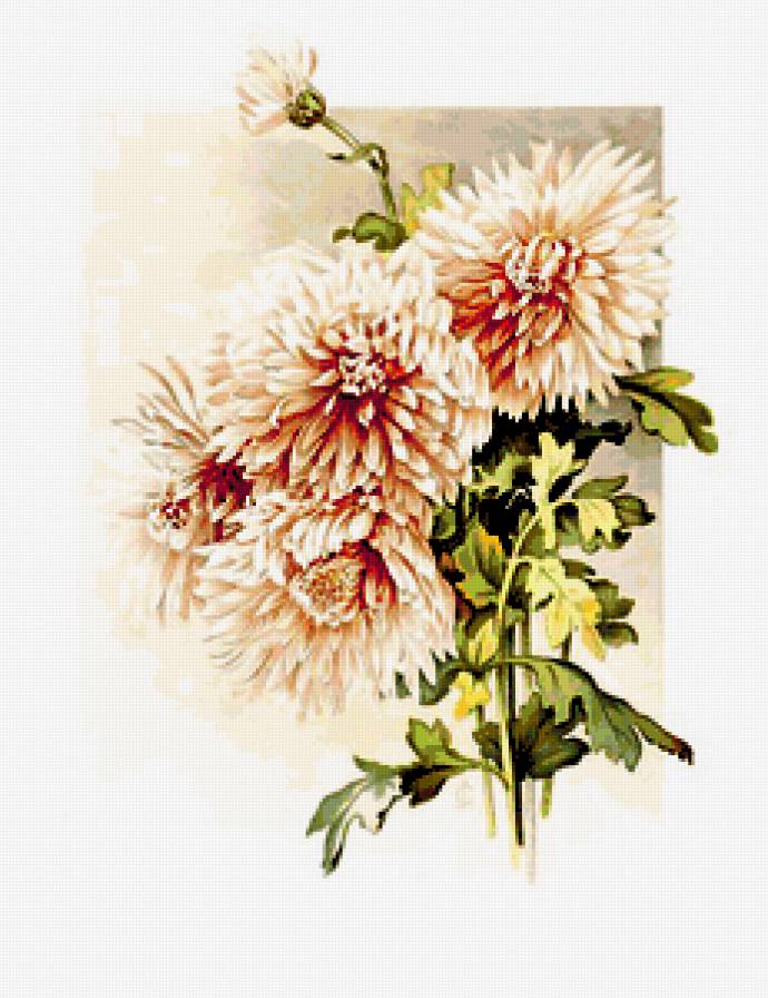 №193485 - предпросмотр