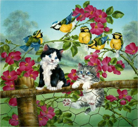 Котята и птички - пейзаж, малыши, цветы, птички, котята, кошки, лето, природа - оригинал