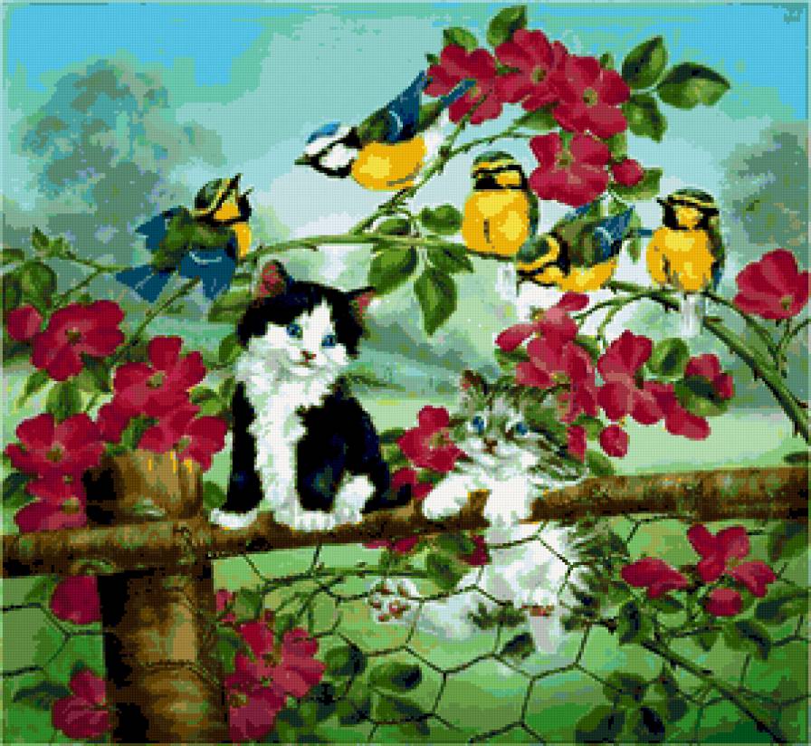 Котята и птички - природа, котята, цветы, лето, кошки, птички, пейзаж, малыши - предпросмотр