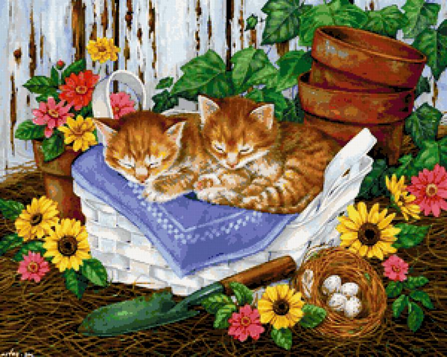 Котята - котята, природа, гнездо, пейзаж, лето, малыши, кошки, цветы - предпросмотр