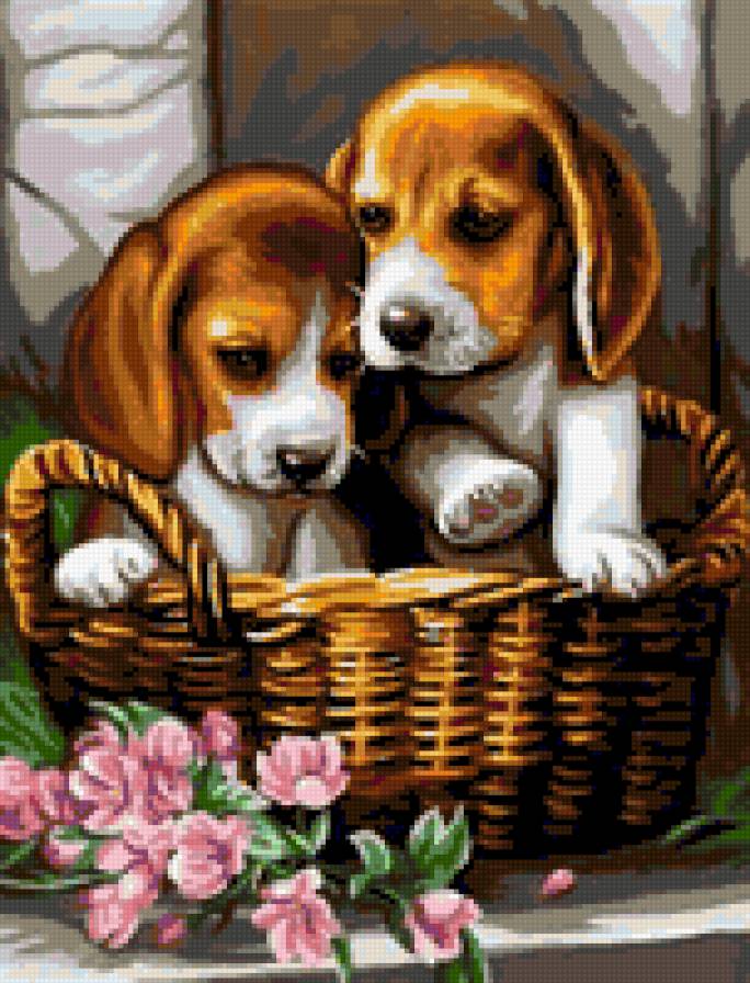 Малыши - животные, щенки, собаки, цветы, собака, малыши, собачки - предпросмотр