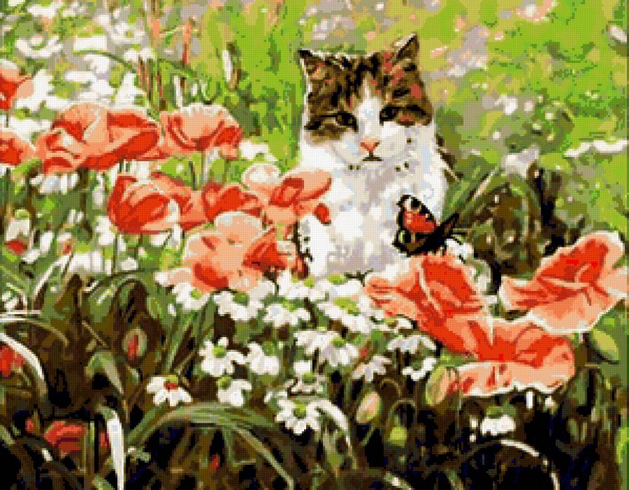Кошки в цветах - кошки в цветах, животные, маки, мак, кошки, цветы, кошка - предпросмотр