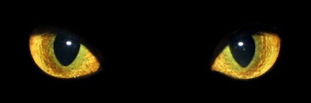 №193592 - оригинал