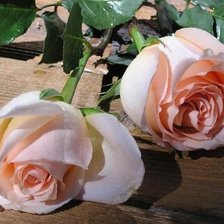 Схема вышивки «8976»