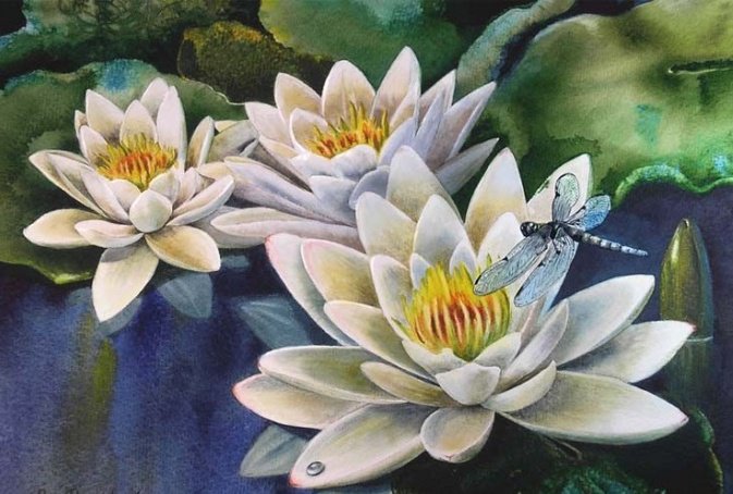 лотосы - оригинал