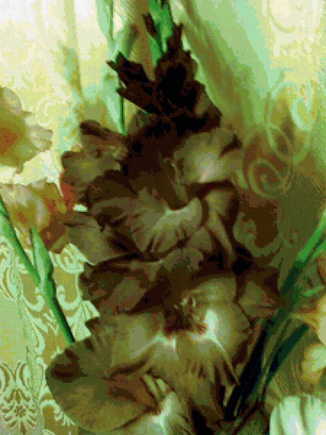 Гладиолусы - цветы - предпросмотр