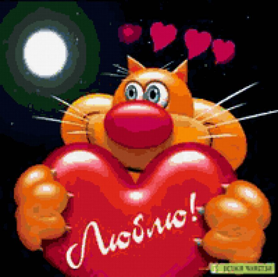 котя - предпросмотр