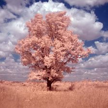 Схема вышивки «010»