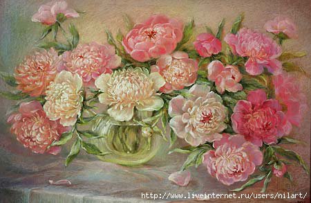 пионы - цветы - оригинал