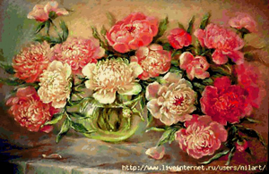 пионы - цветы - предпросмотр