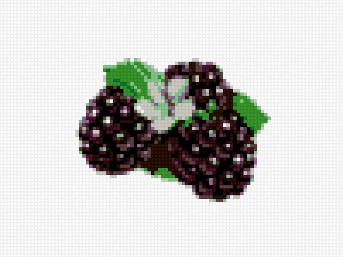 ежевика - для кухни, ягода, ежевика - предпросмотр