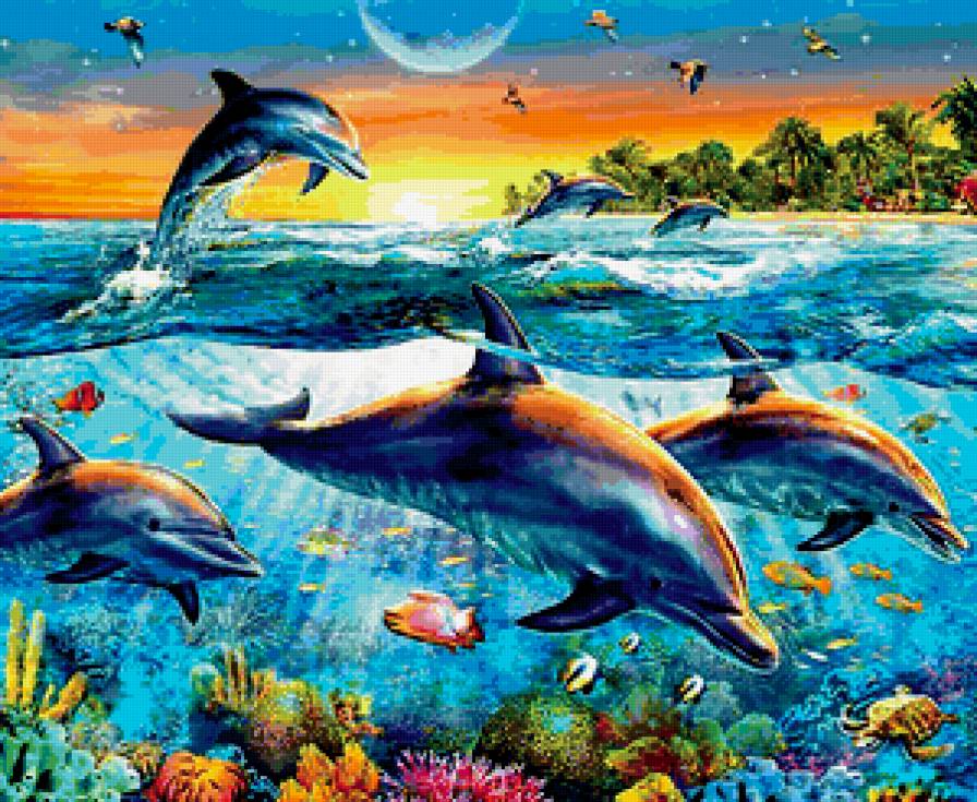 Резвящиеся дельфины - море, тропики, дельфины - предпросмотр