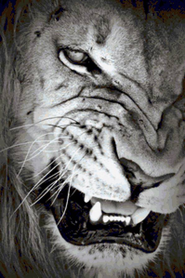 лев - лев - предпросмотр