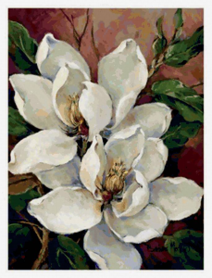 магнолии - цветы, магнолии, живопись - предпросмотр