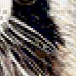 Предпросмотр схемы вышивки «Енот» (№194284)