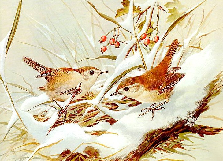 №194308 - оригинал