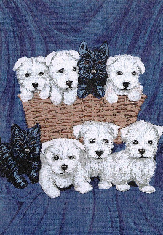 Щенки - собаки, животные, собачки, собака, малыши, щенки - оригинал